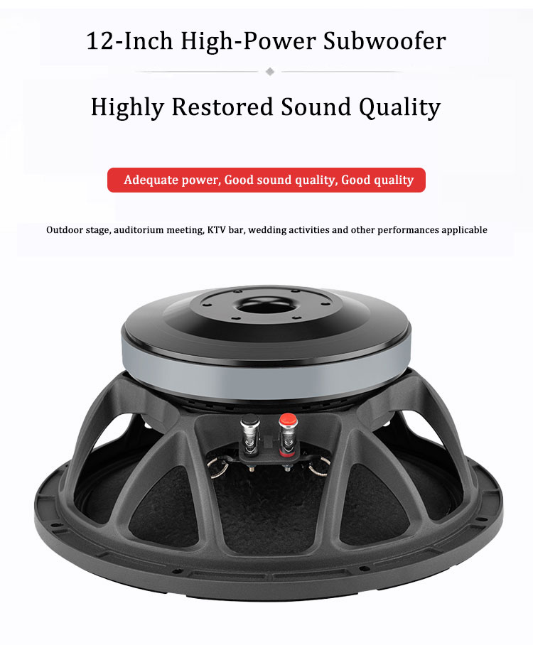 Wysokiej jakości 12-calowe gło – Quality Outdoor Power recenzja i cena