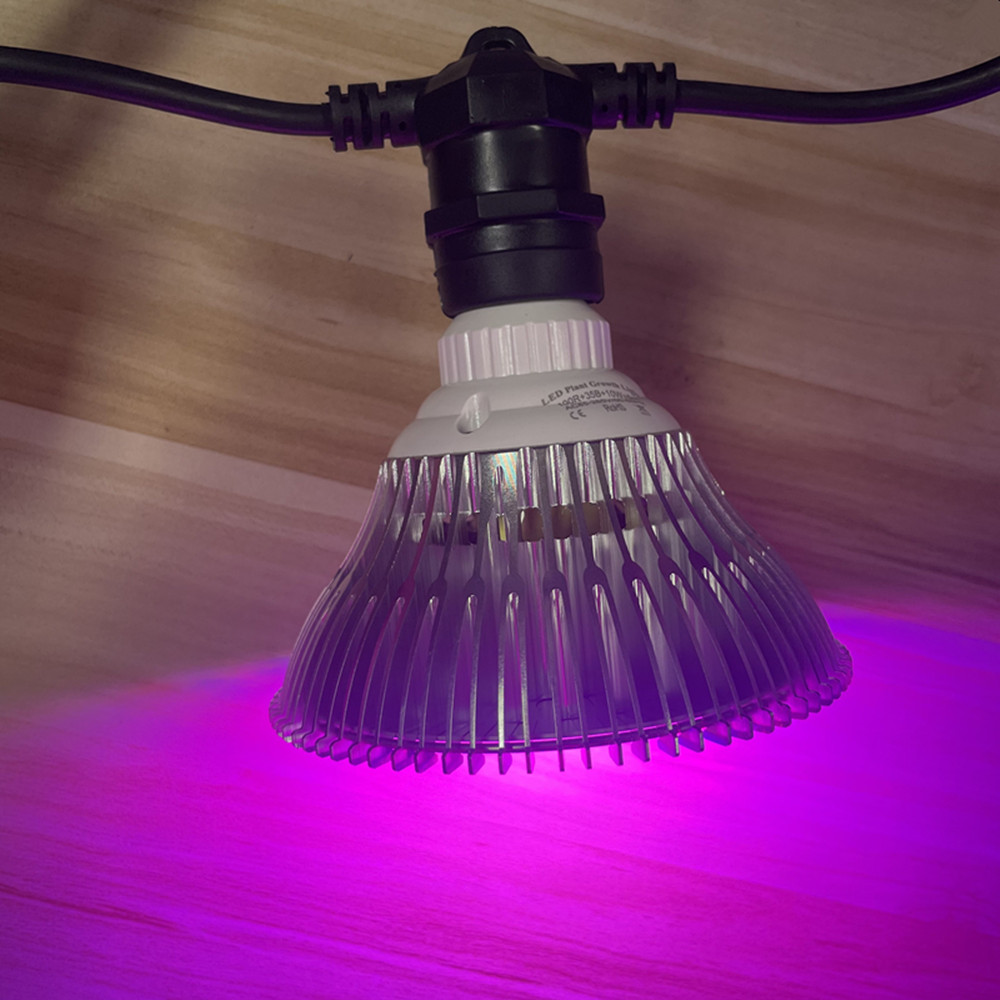 10M Kabel LED, komercyjna jako – Outdoor Power Socket recenzja i cena